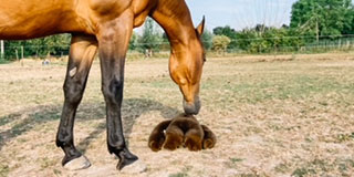 320x160-liftYour-Energy