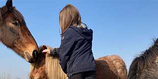 320x160-begeleiden-van-jongeren Begeleiden van jongeren