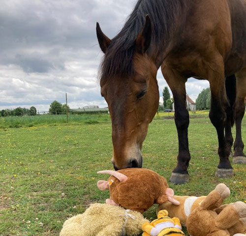 ChillOutZ-over-mij_500x480img Chill out Z