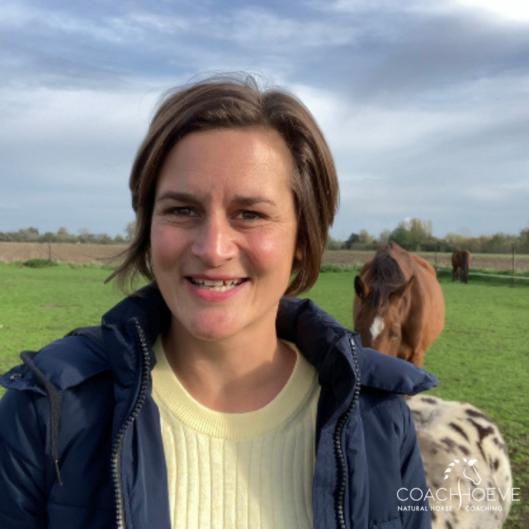 129E10FC-2A1E-42FF-8E03-EDDFBF137110