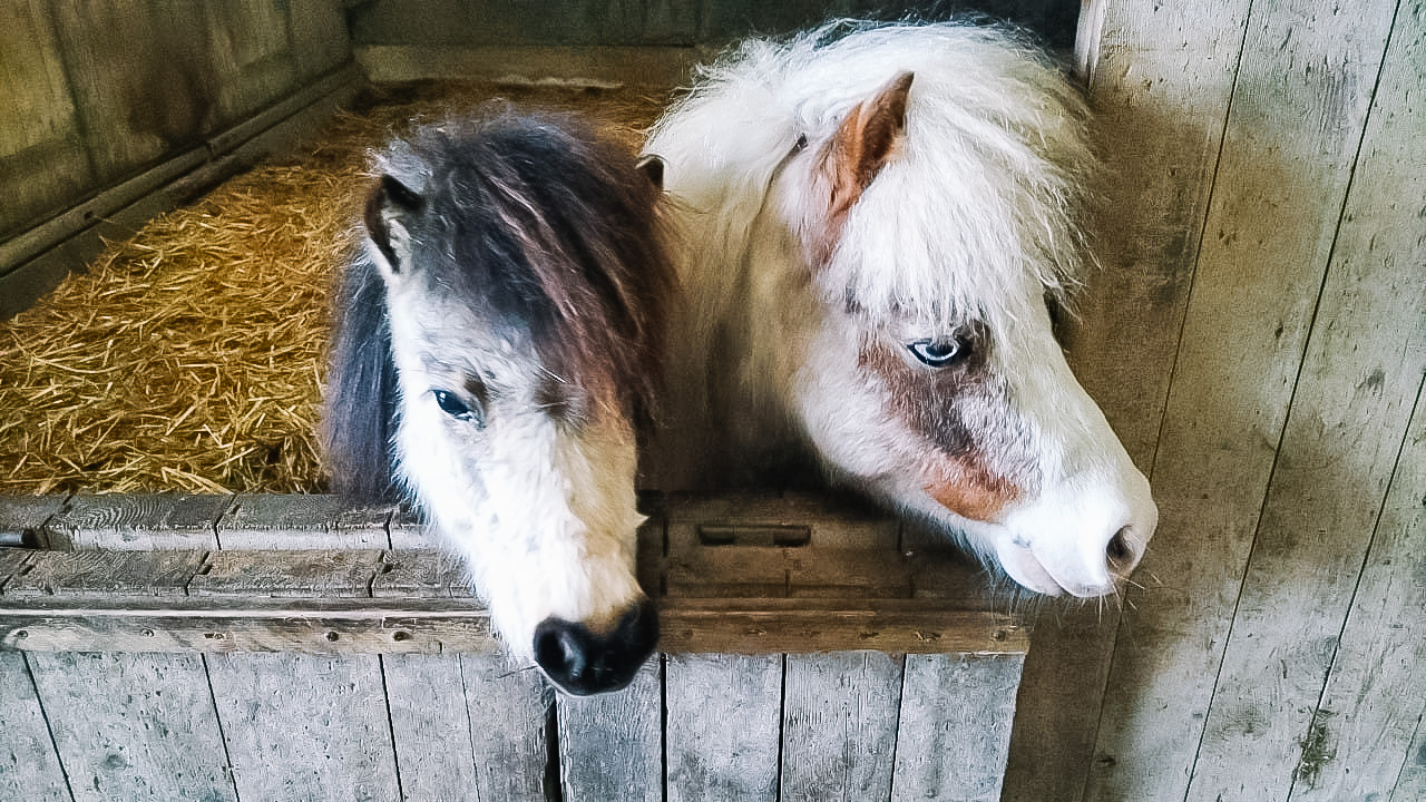 6cc574bf-45b6-4ce8-ae78-f1668b424a4e